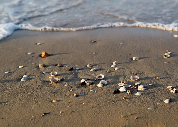 Relaxing In A Village With Swimming Pool 公寓 *